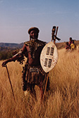 Zulu pilgrim